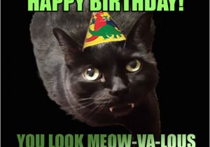 Funny Black Happy Birthday Meme Her Birthday is Funny Happy Birthday to Her She Day B