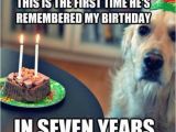 Funny Clean Birthday Memes Birthday Fun Dog Quotes Quotesgram