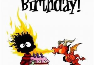 Funny Comments for Birthday Cards 91 Best Images About Birthday Wishes On Pinterest Funny