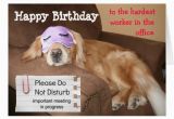 Funny Coworker Birthday Cards Funny Co Worker Birthday Quotes Quotesgram