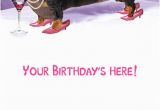 Funny Dachshund Birthday Cards Birthday Cards Dachshund Funny Cards Free Postage Included
