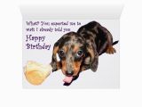 Funny Dachshund Birthday Cards Dachshund Birthday Card Zazzle