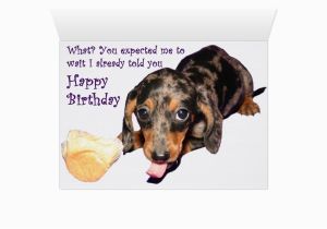 Funny Dachshund Birthday Cards Dachshund Birthday Card Zazzle