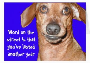 Funny Dachshund Birthday Cards Dachshund Birthday Card Zazzle