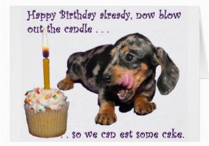 Funny Dachshund Birthday Cards Dachshund Birthday Greeting Card Zazzle