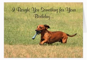 Funny Dachshund Birthday Cards English Pointer Cards Invitations Zazzle Co Uk