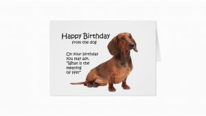 Funny Dachshund Birthday Cards Funny Dachshund Birthday Card Zazzle Ca