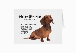 Funny Dachshund Birthday Cards Funny Dachshund Birthday Card Zazzle Ca