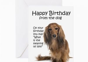 Funny Dachshund Birthday Cards Funny Dachshund Birthday Greeting Card by Shopdoggifts