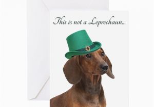 Funny Dachshund Birthday Cards Funny Leprechaun Dachshund Greeting Cards by Shopdoggifts