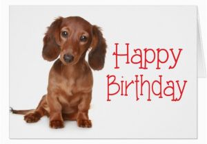Funny Dachshund Birthday Cards Happy Birthday Dachshund Puppy Dog Card Zazzle Com