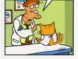Funny Doctor Birthday Cards Cat at Doctor Funny Birthday Card Greeting Card by