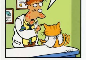 Funny Doctor Birthday Cards Cat at Doctor Funny Birthday Card Greeting Card by
