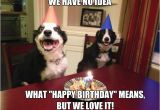 Funny Dog Birthday Memes Best 25 Happy Birthday Dog Meme Ideas On Pinterest