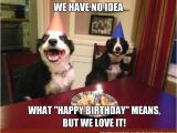 Funny Dog Birthday Memes Best 25 Happy Birthday Dog Meme Ideas On Pinterest