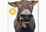 Funny Donkey Birthday Cards Donkey Spoofs 39th Birthday Cards Donkey Pinterest