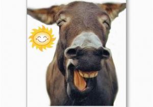 Funny Donkey Birthday Cards Donkey Spoofs 39th Birthday Cards Donkey Pinterest