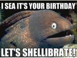 Funny Fishing Birthday Memes Funny Fish Happy Birthday Images Good Morning Images