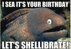 Funny Fishing Birthday Memes Funny Fish Happy Birthday Images Good Morning Images