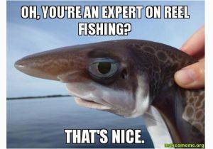 Funny Fishing Birthday Memes top 20 Fishing Memes On the Internet