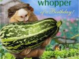 Funny Gardening Birthday Cards Funny Guinea Pig Birthday Card What A whopper Vegetable