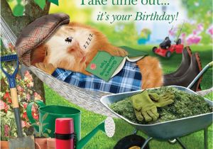 Funny Gardening Birthday Cards Garden Hammock Funny Birthday Card afternoon Snooze Guinea