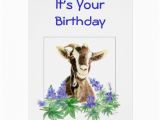 Funny Goat Birthday Cards Funny Birthday Flowers From Old Goat Humor Greeting Card