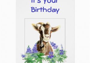 Funny Goat Birthday Cards Funny Birthday Flowers From Old Goat Humor Greeting Card