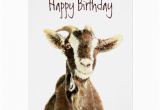 Funny Goat Birthday Cards Funny Birthday From the Old Goat who Loves You Card Zazzle
