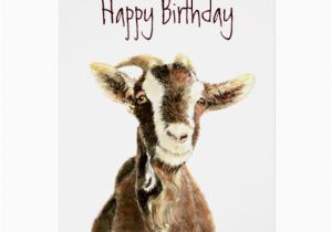 Funny Goat Birthday Cards Funny Birthday From the Old Goat who Loves You Card Zazzle