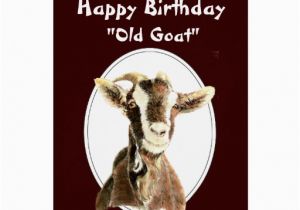 Funny Goat Birthday Cards Funny Birthday Over the Hill Old Goat Humour Greeting Card