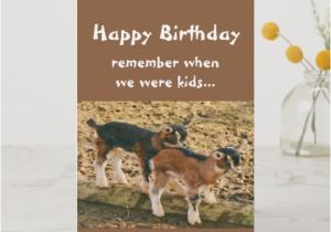 Funny Goat Birthday Cards Funny Goat Banquet Birthday Card Zazzle Co Uk