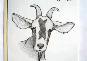 Funny Goat Birthday Cards Funny Goat Birthday Card original Pencil Drawing Your