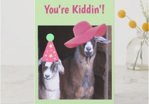 Funny Goat Birthday Cards Old Goat Gifts Gift Ideas Zazzle Uk