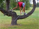 Funny Golf Birthday Meme Goin 39 Out On A Limb to Wish You A Happy Birthday Bad