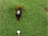 Funny Golf Birthday Meme the Best Golf Memes