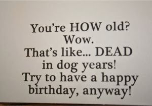 Funny Happy Birthday Little Brother Quotes Happy Birthday Brother In Law Quotes Funny Quotesgram