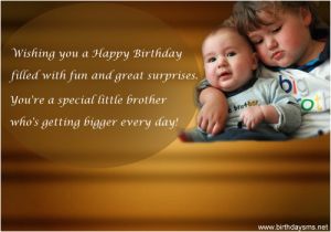 Funny Happy Birthday Little Brother Quotes Little Brother Quotes Funny Image Quotes at Hippoquotes Com