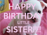 Funny Happy Birthday Little Sister Quotes Happy Birthday Little Sister Quotes Quotesgram