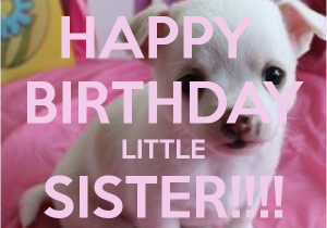 Funny Happy Birthday Little Sister Quotes Happy Birthday Little Sister Quotes Quotesgram