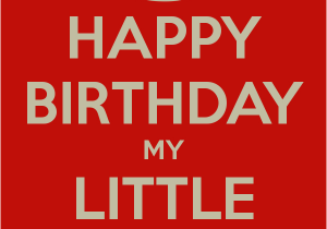 Funny Happy Birthday Little Sister Quotes Little Sister Quotes Funny Quotesgram