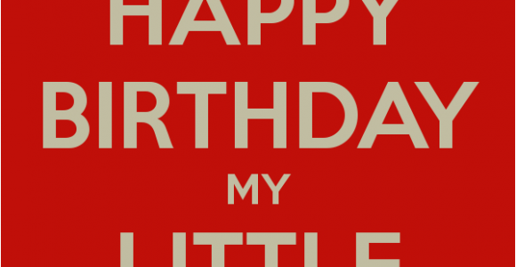 Funny Happy Birthday Little Sister Quotes Little Sister Quotes Funny Quotesgram