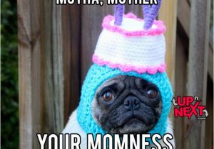 Funny Happy Birthday Meme for Mom 20 Memorable Happy Birthday Mom Memes Sayingimages Com