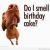 Funny Happy Birthday Picture Quotes Funny Birthday Sayings