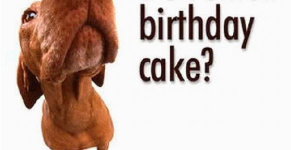 Funny Happy Birthday Picture Quotes Funny Birthday Sayings