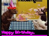 Funny Happy Birthday Picture Quotes Happy Birthday Quotes Messages Pictures Sms Images