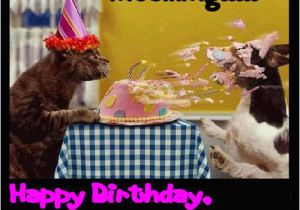 Funny Happy Birthday Picture Quotes Happy Birthday Quotes Messages Pictures Sms Images