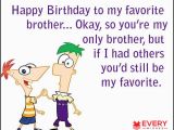 Funny Happy Birthday Quotes for Your Brother Happy Birthday Brother Funny Best Funny Birthday Wishes