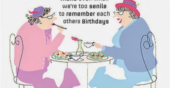 Funny Happy Birthday Quotes to A Friend 25 Funny Birthday Wishes and Greetings for You