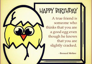 Funny Happy Birthday Quotes to A Friend Best Friend Birthday Quotes Quotes and Sayings